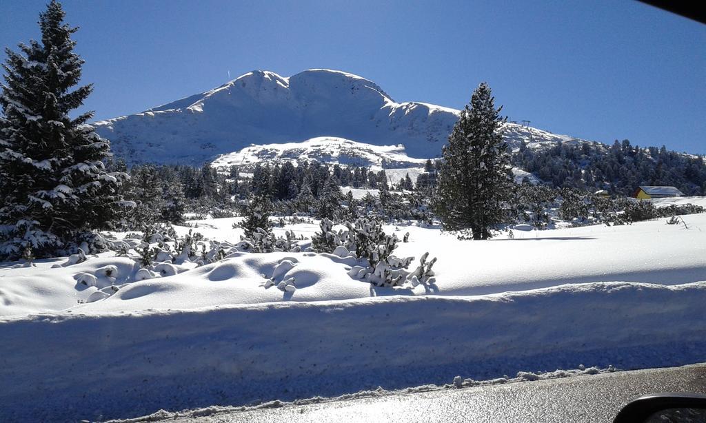 B&B La Tana Dell'Orso - Die Baerenhoehle Castello-Molina di Fiemme Eksteriør billede