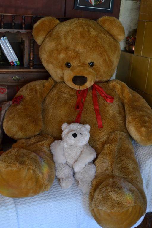 B&B La Tana Dell'Orso - Die Baerenhoehle Castello-Molina di Fiemme Eksteriør billede